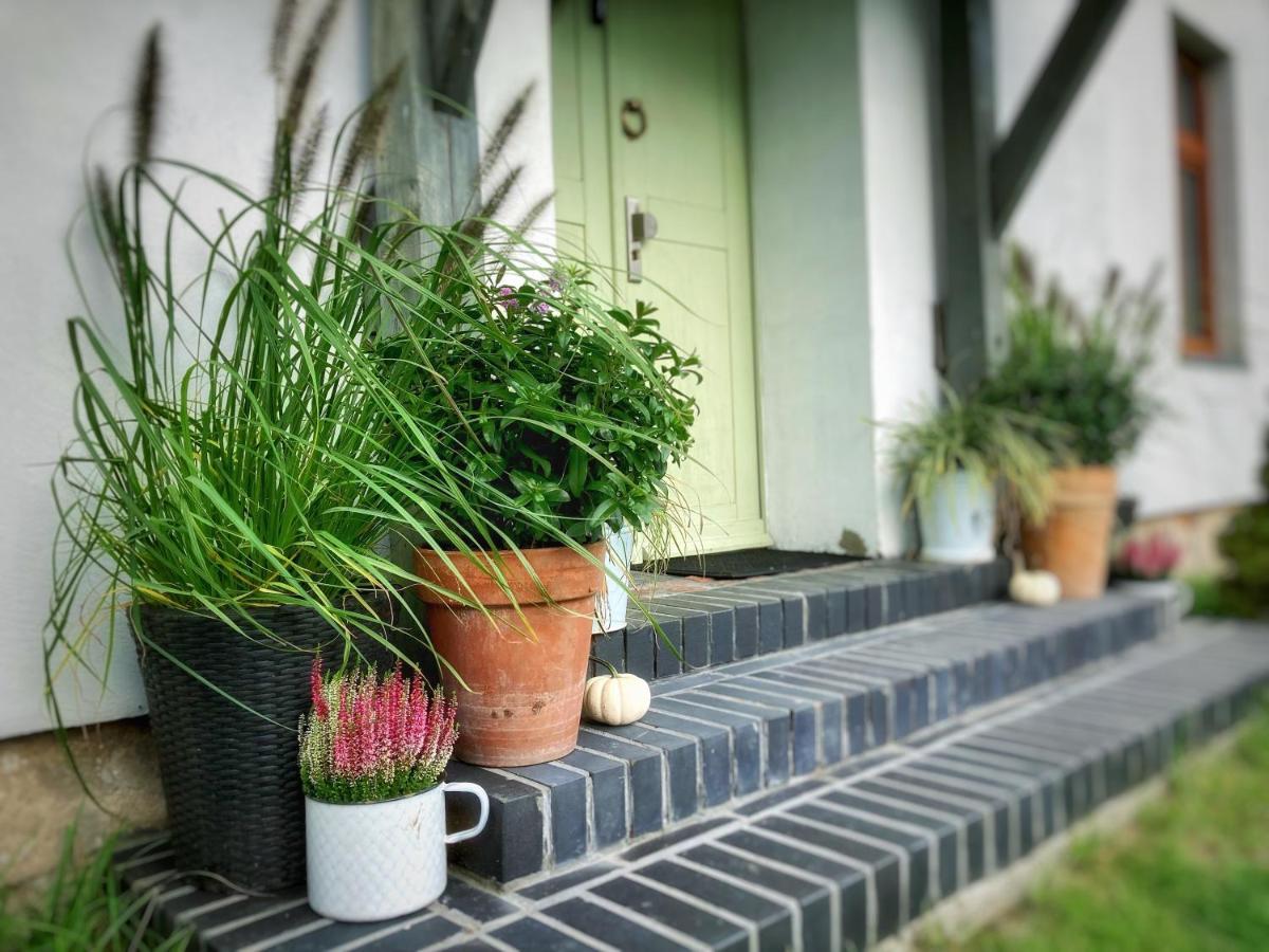 Farma Jamienko Guest House ภายนอก รูปภาพ